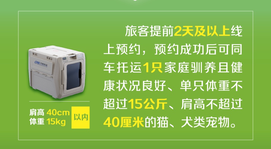 猫猫狗狗可以乘高铁了！12306上线新功能