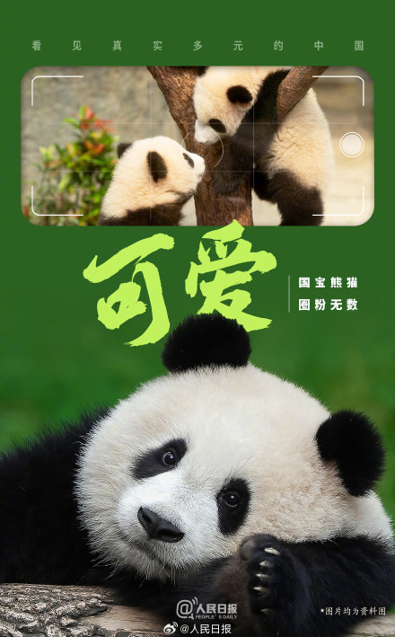 转发！9图打开一镜到底式ChinaTravel