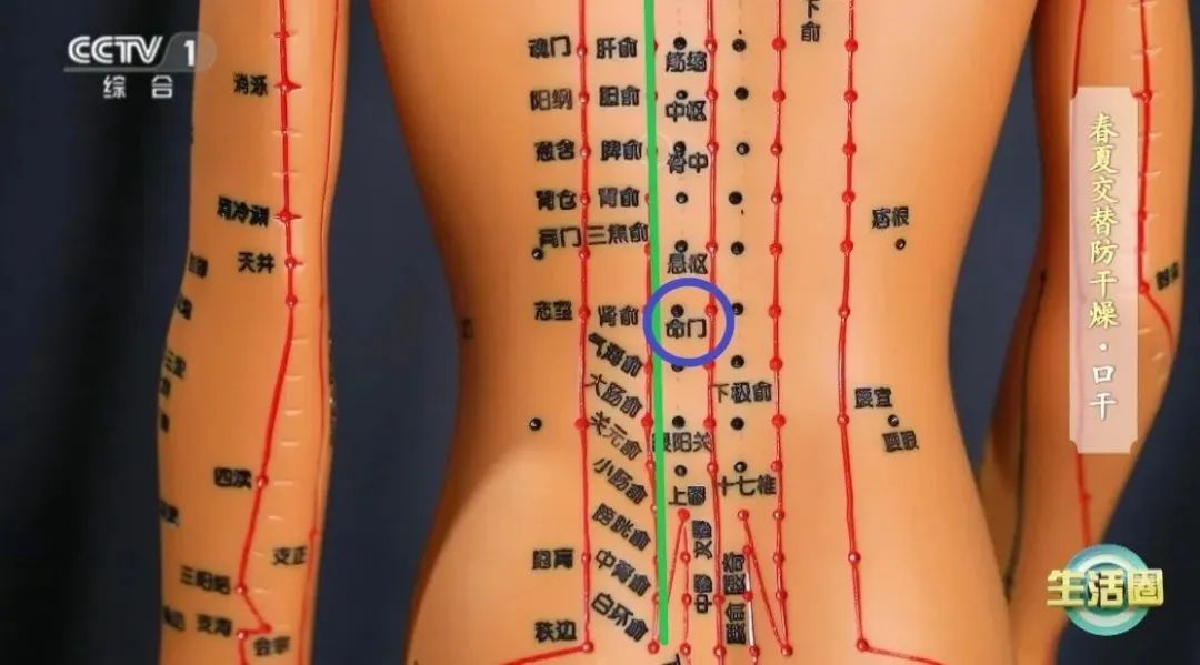 春天晒背好处太多了！给身体“充满电”，超全攻略→