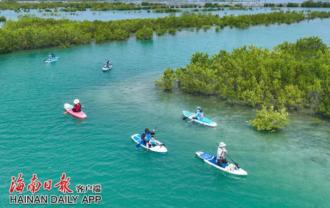 “吸睛”又“吸金”！清明假期海南旅游成绩单→