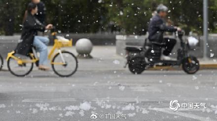 2025杨柳絮盛飞预警地图