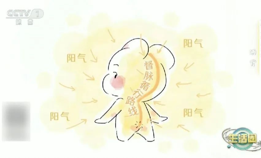 春天晒背好处太多了！给身体“充满电”，超全攻略→