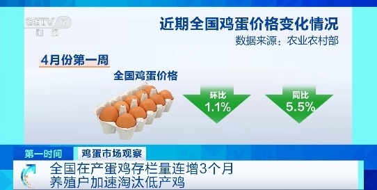 蛋价已连降5周 专家研判后期走势→