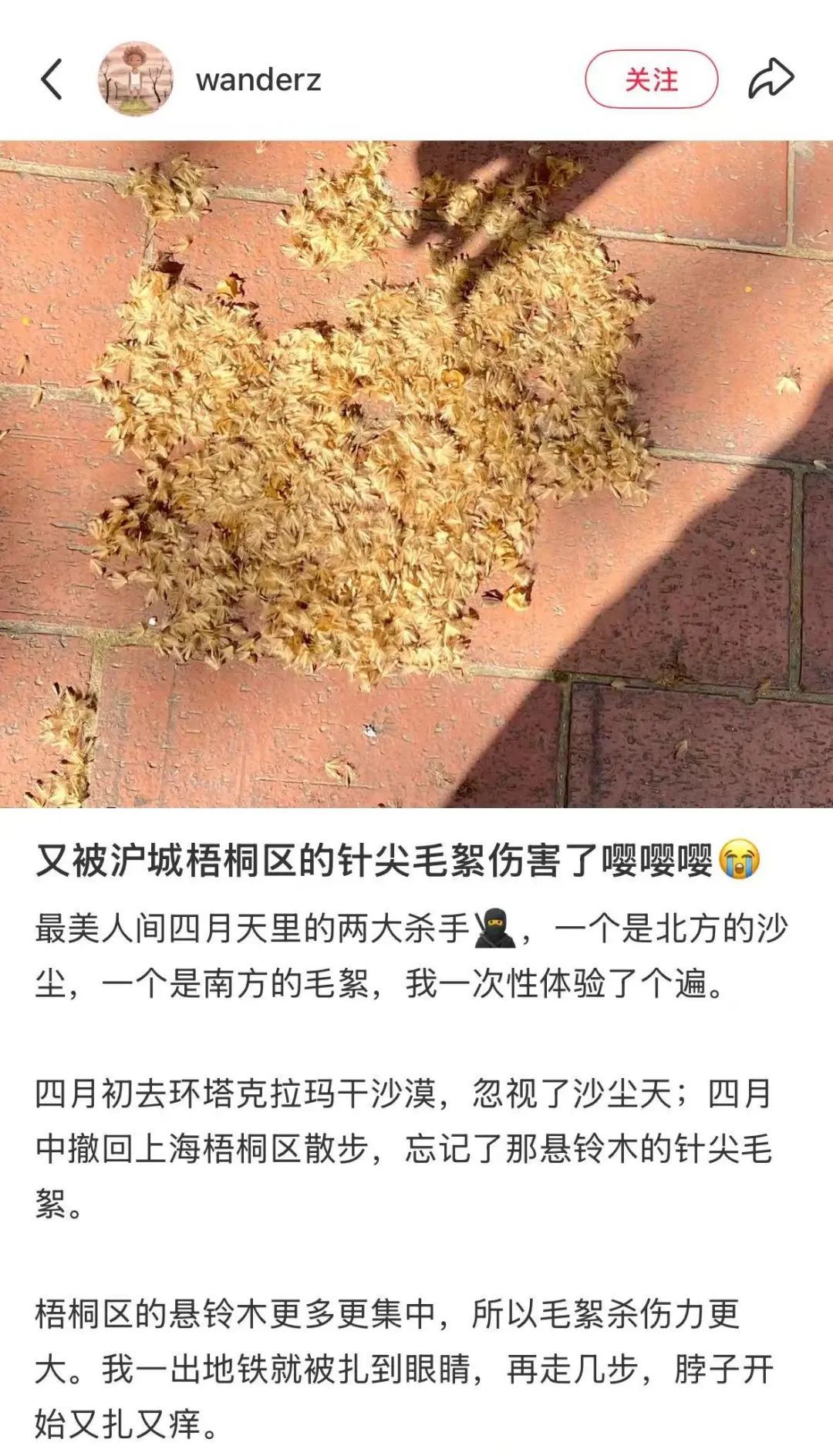 又开始了,指数达顶峰!上海人这两天出门要当心,建议戴口罩 又开始了,指数达顶峰!上海人这两天出门要当心,建议戴口罩