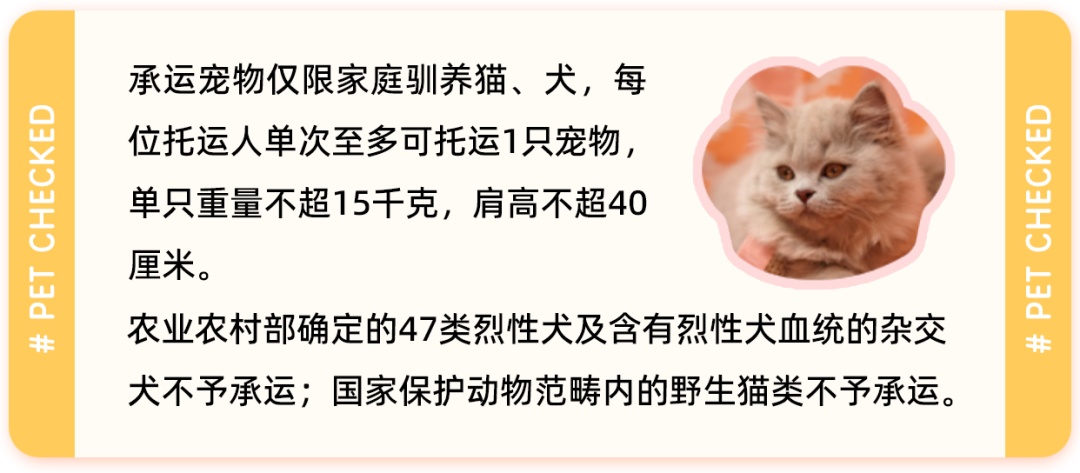 今天起，小猫小狗可以坐这些高铁啦！