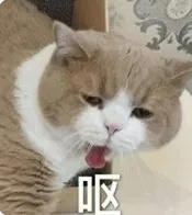 看吐了！事发上海知名商场，掉在地上的刺身被直接摆回餐盘？有食客称上吐下泻