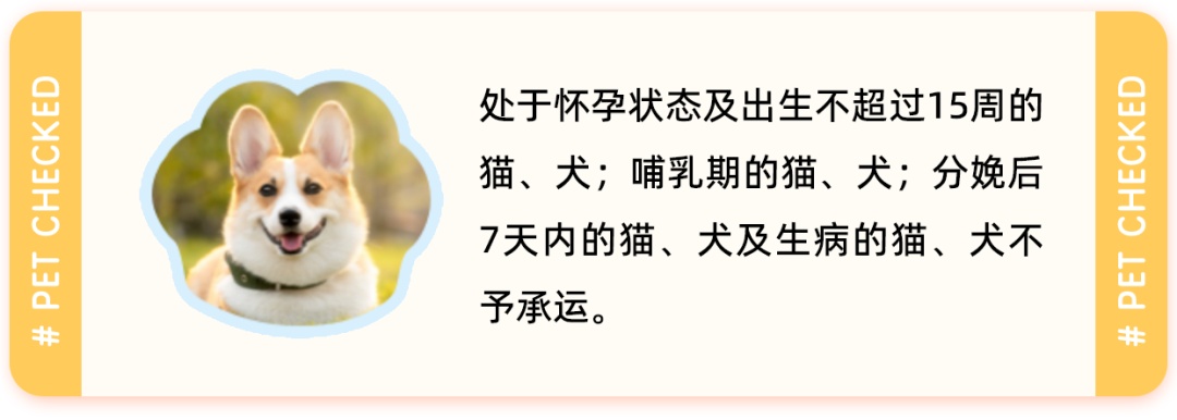 今天起，小猫小狗可以坐这些高铁啦！