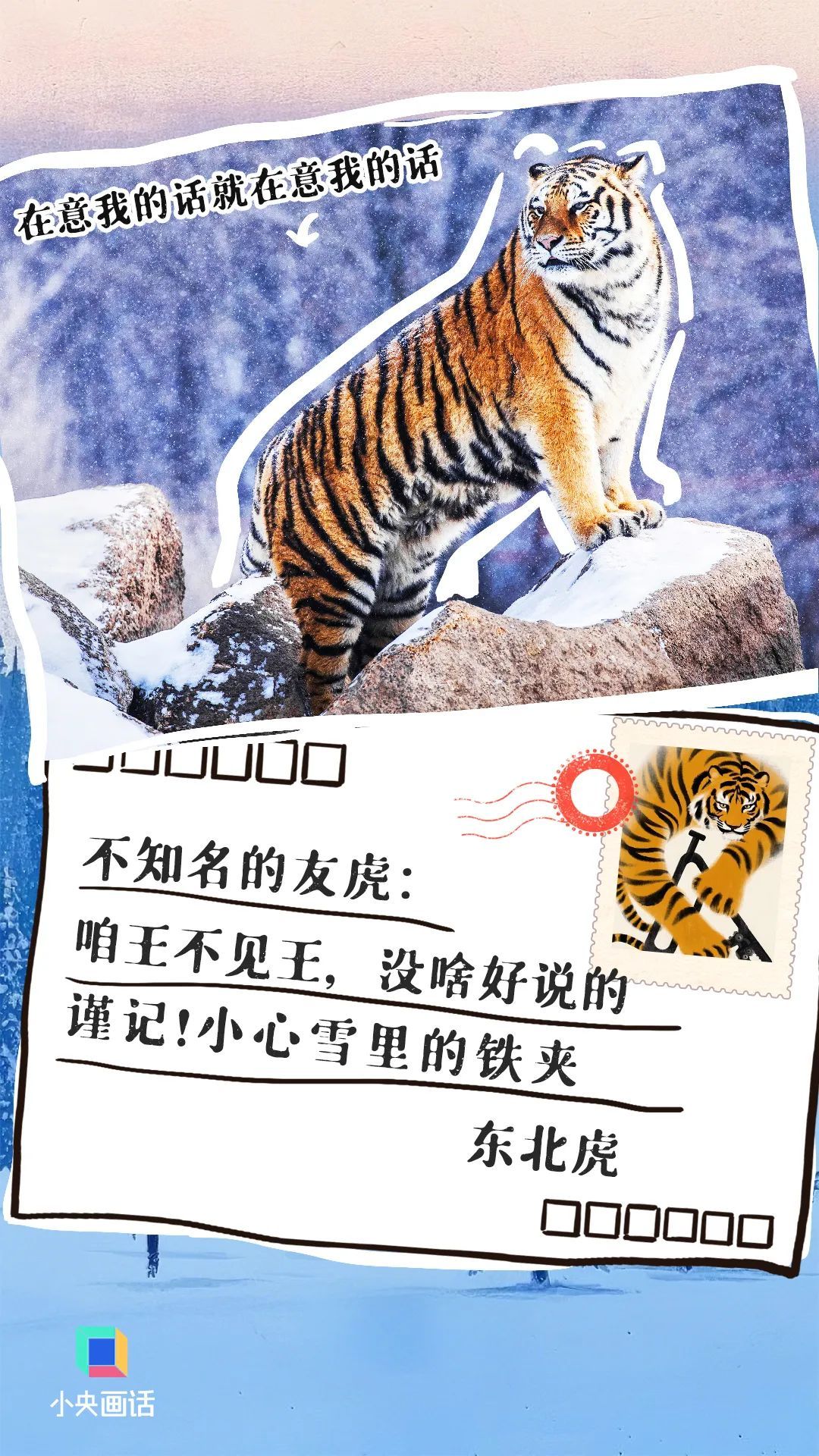 别让这些信成为它们的“绝笔”