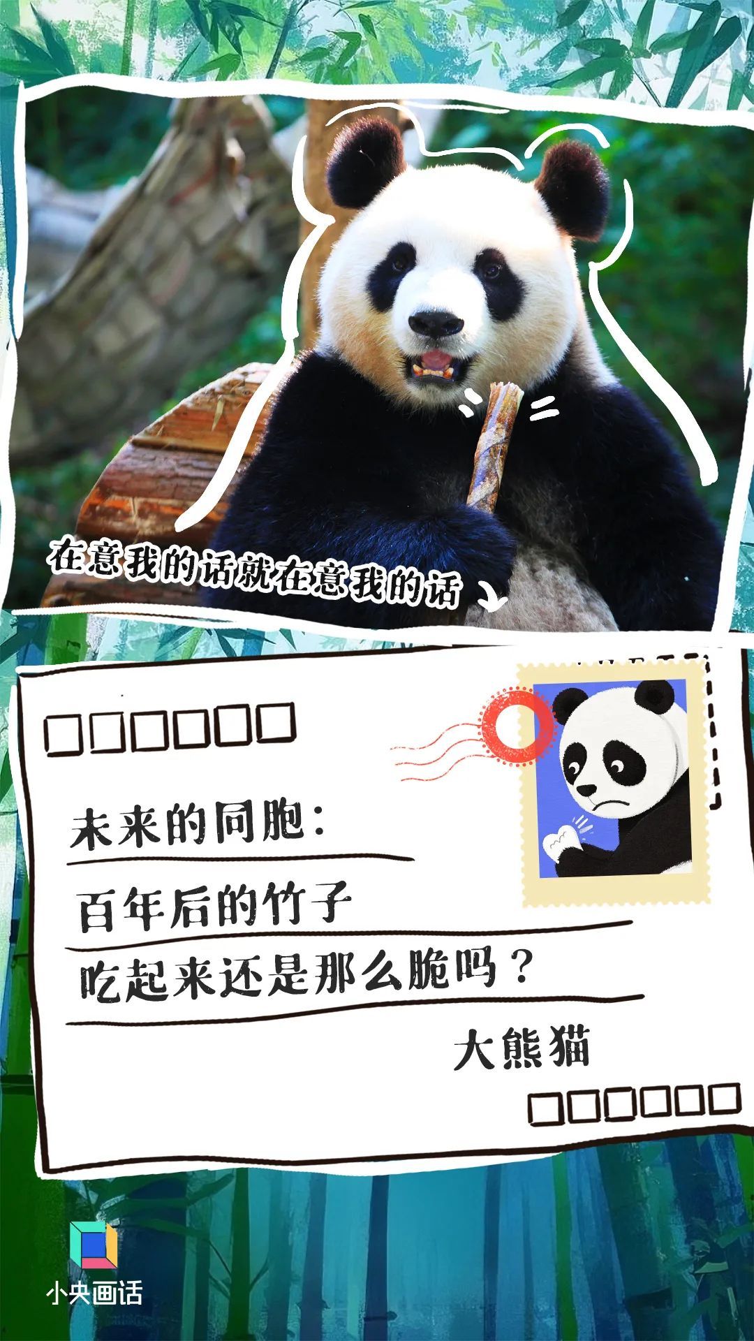 别让这些信成为它们的“绝笔”