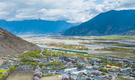 列车穿行花海画面唯美