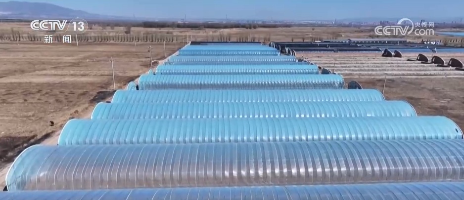 时间表、路线图已明确！农业强国建设蓝图有何亮点？专家解读