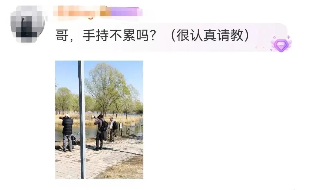 想和李现一起拍鸟？这些行为绝对不行！