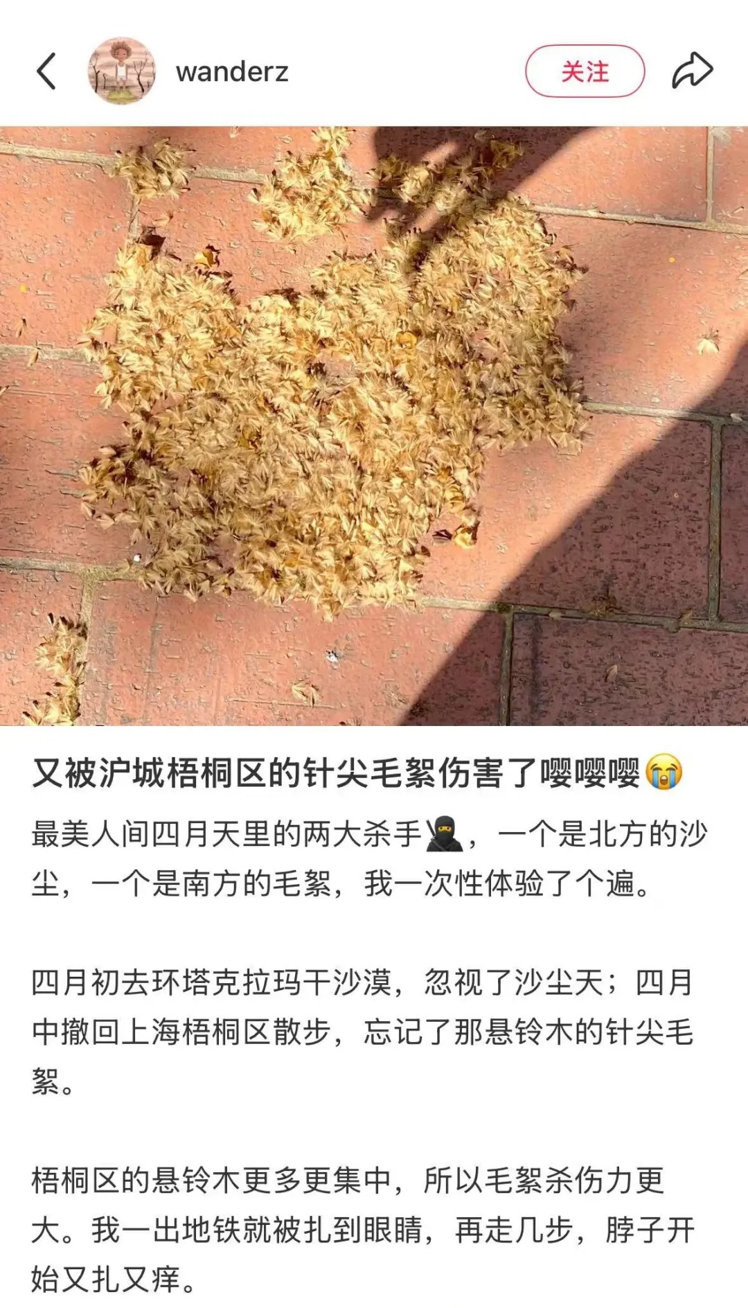 今天又是最高等级！紧急提醒！上海人近期出行建议戴口罩