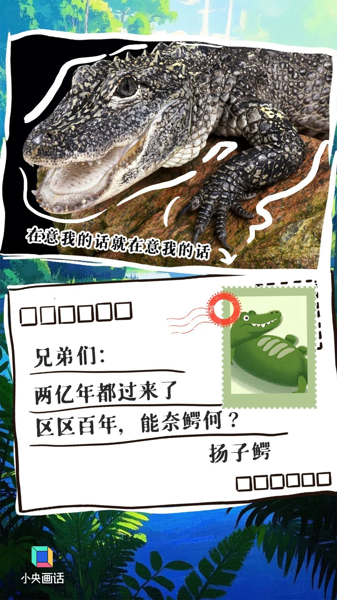 别让这些信成为它们的“绝笔”