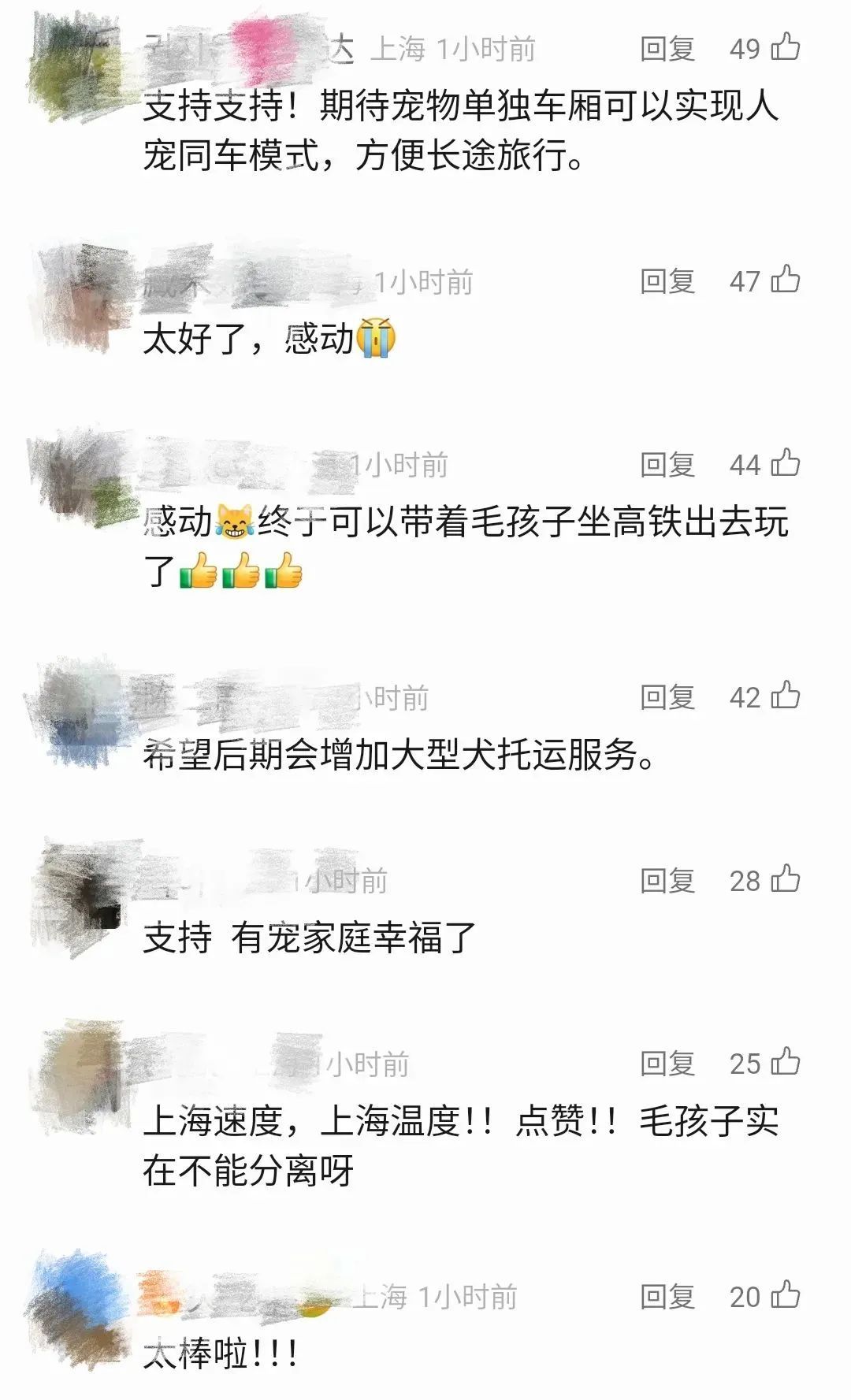 上海虹桥等5座车站间的10趟高铁列车今起试点！宠物猫狗能坐高铁了，全网欢呼支持