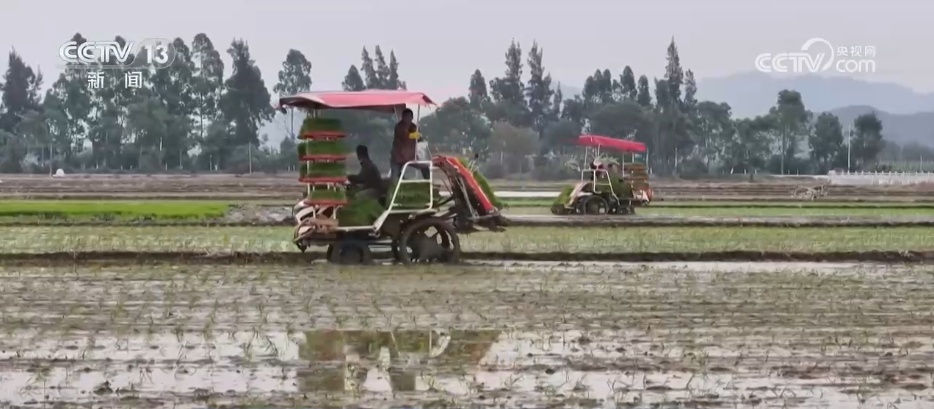 时间表、路线图已明确！农业强国建设蓝图有何亮点？专家解读