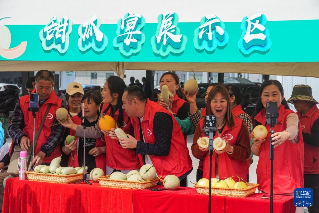 山东东平:甜瓜飘香助增收 山东东平:甜瓜飘香助增收