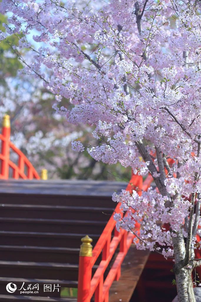 点开后，手机都香了！