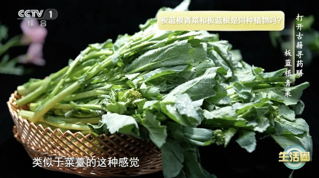 这种蔬菜钙含量比牛奶还高!春天推荐你多吃,补钙、抗病毒、降火~ 这种蔬菜钙含量比牛奶还高!春天推荐你多吃,补钙、抗病毒、降火~