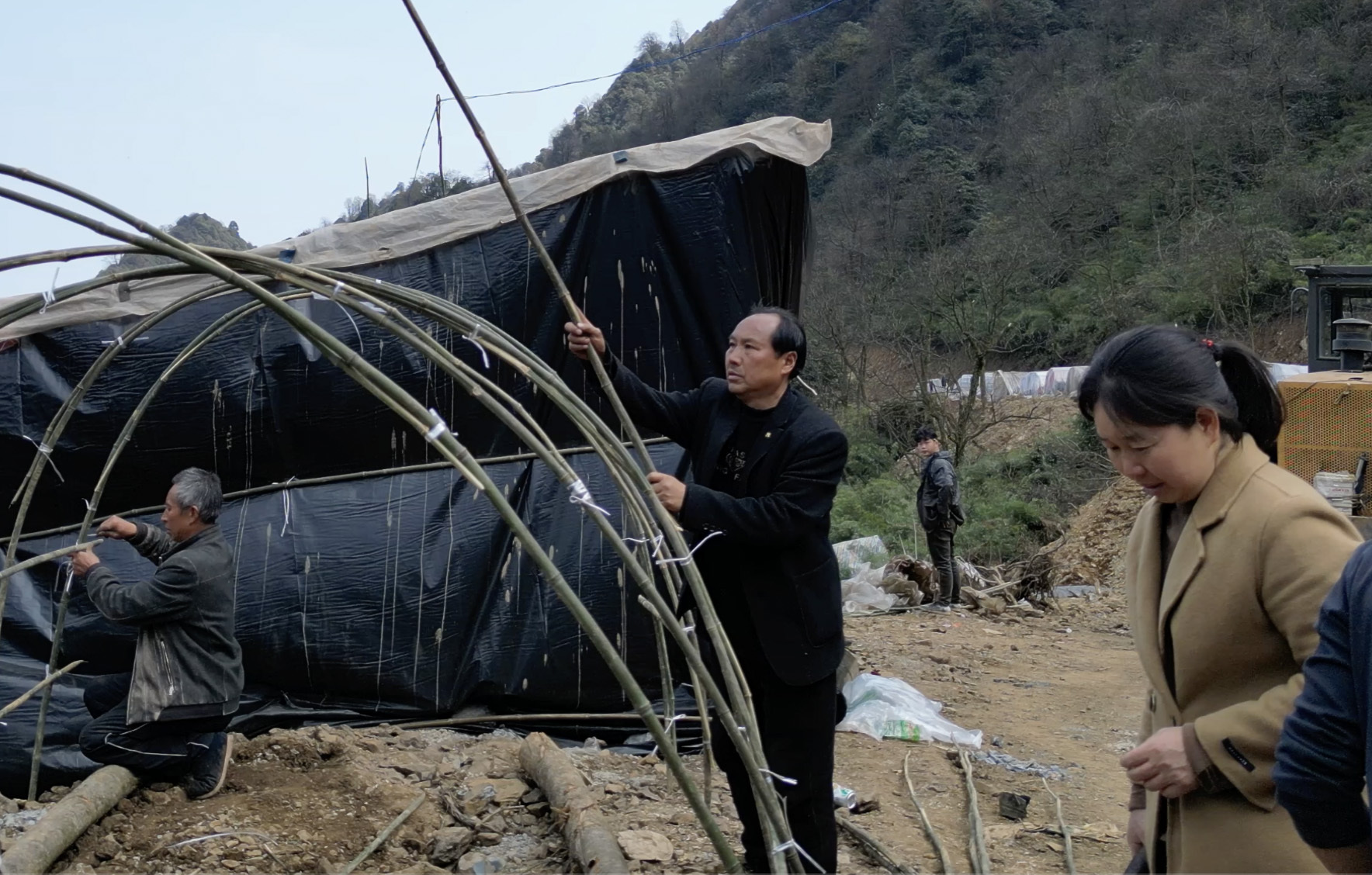 深山里的收笋人——云南盐津春笋采收季拉开帷幕