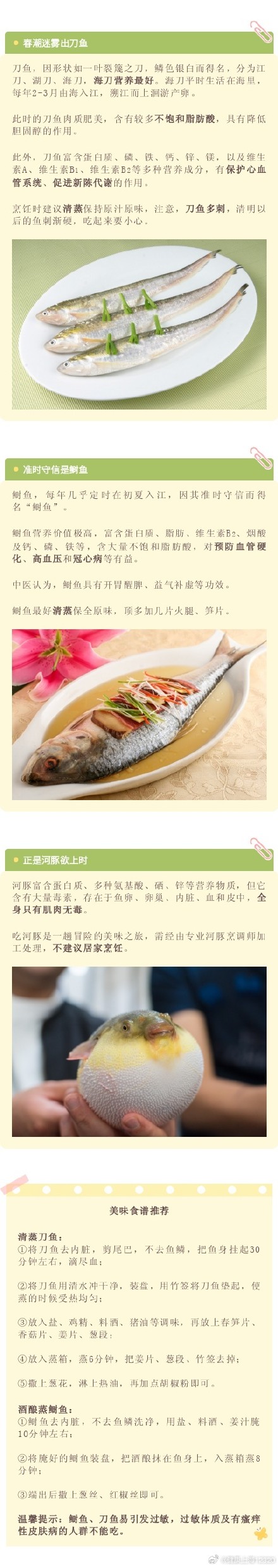 春暖花开的日子里,品“长江三鲜”,领略舌尖上的春天 春暖花开的日子里,品“长江三鲜”,领略舌尖上的春天