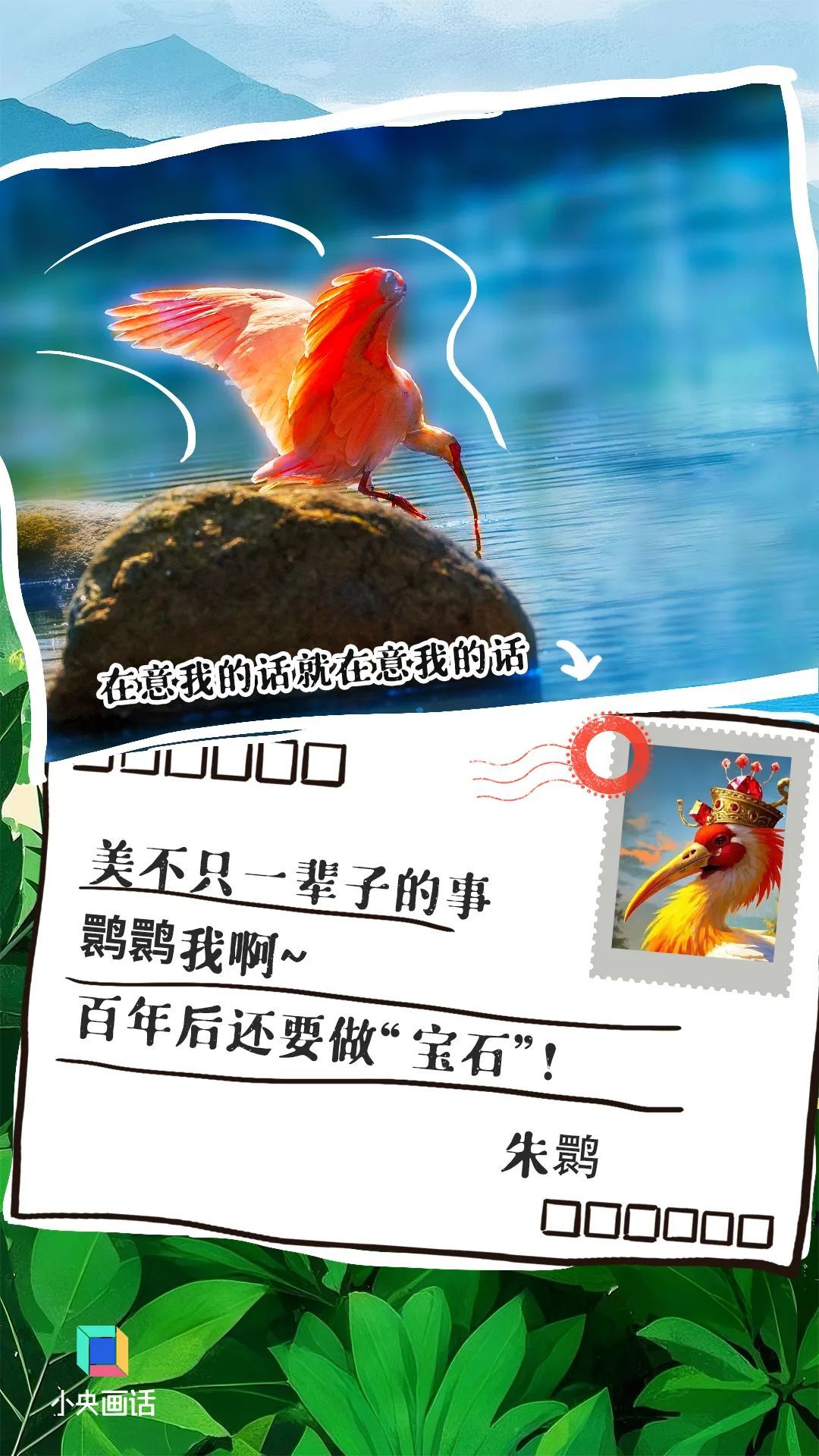 别让这些信成为它们的“绝笔”
