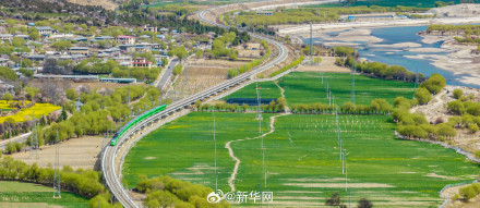 列车穿行花海画面唯美