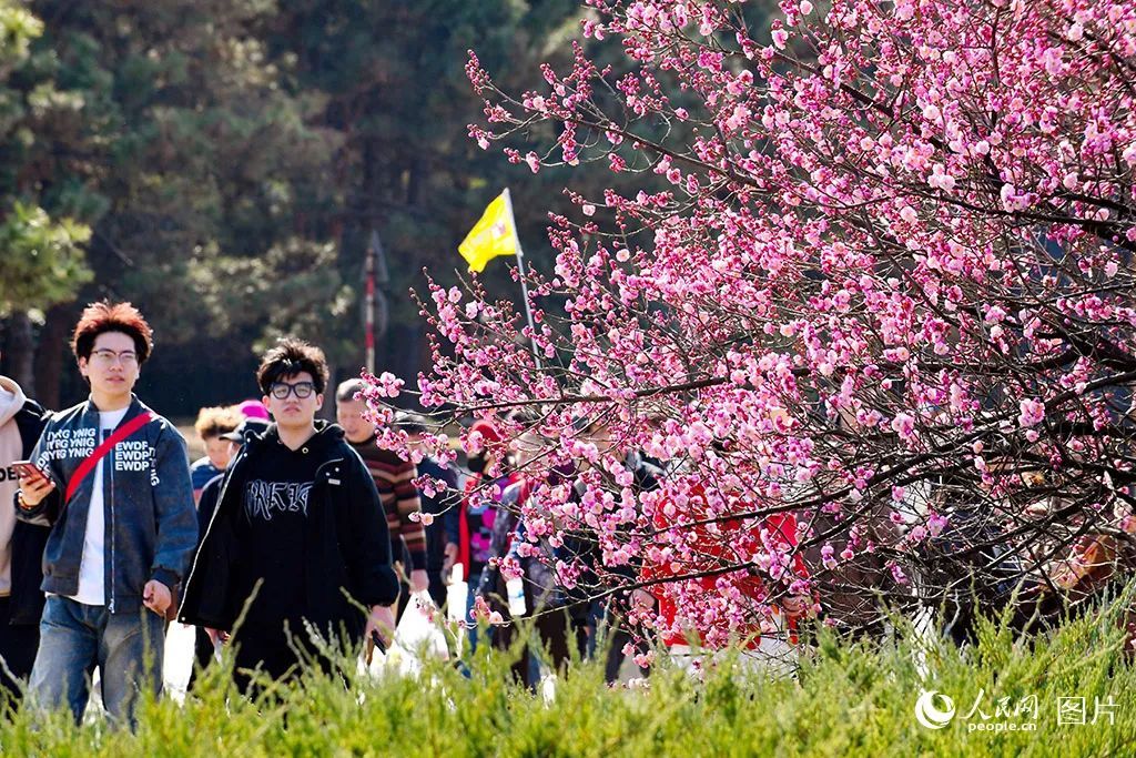 点开后，手机都香了！