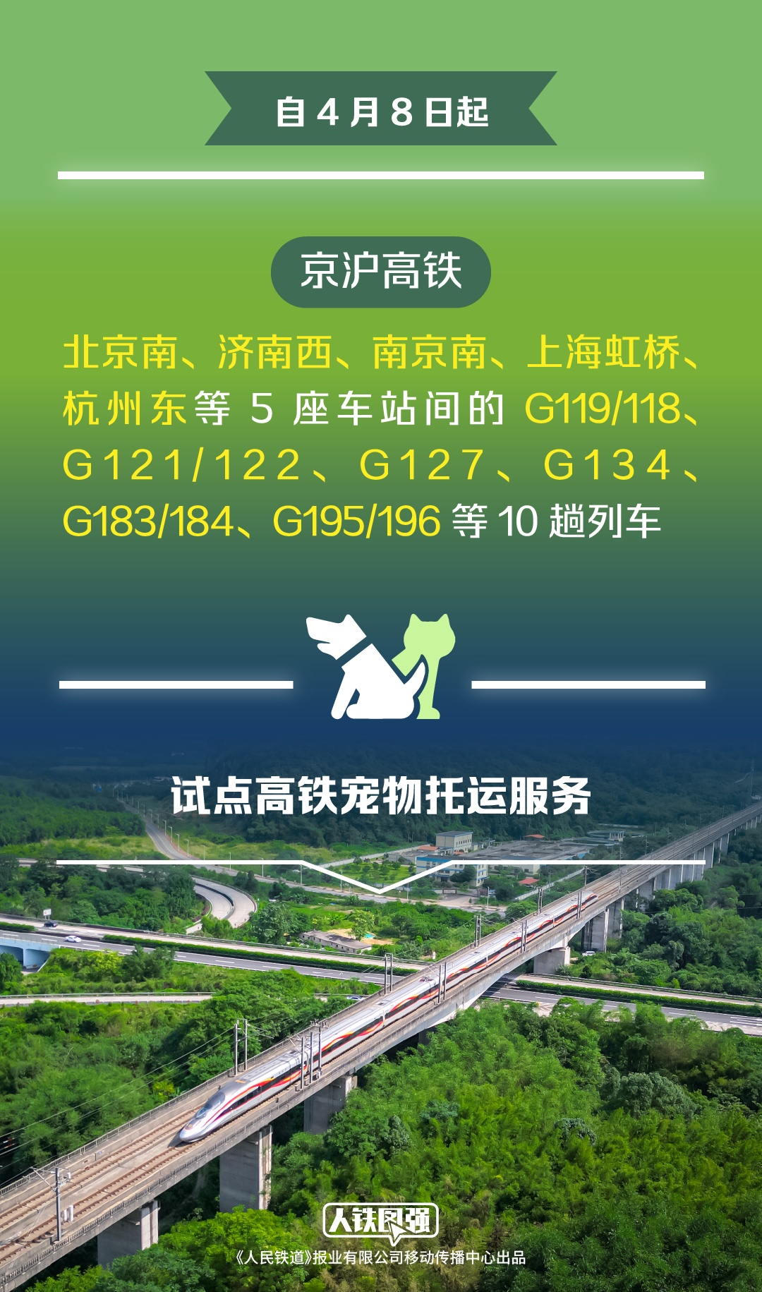 今天起，小猫小狗可以坐这些高铁啦！