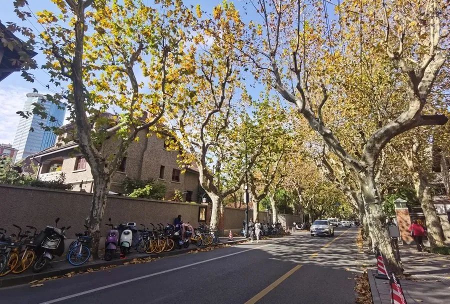 又开始了,指数达顶峰!上海人这两天出门要当心,建议戴口罩 又开始了,指数达顶峰!上海人这两天出门要当心,建议戴口罩