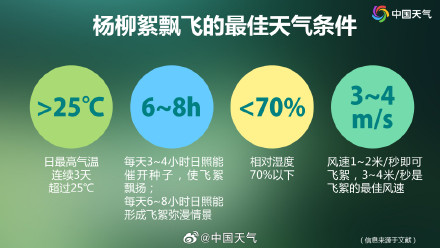 2025杨柳絮盛飞预警地图