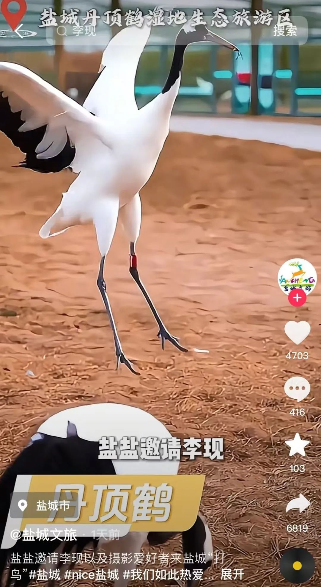想和李现一起拍鸟？这些行为绝对不行！