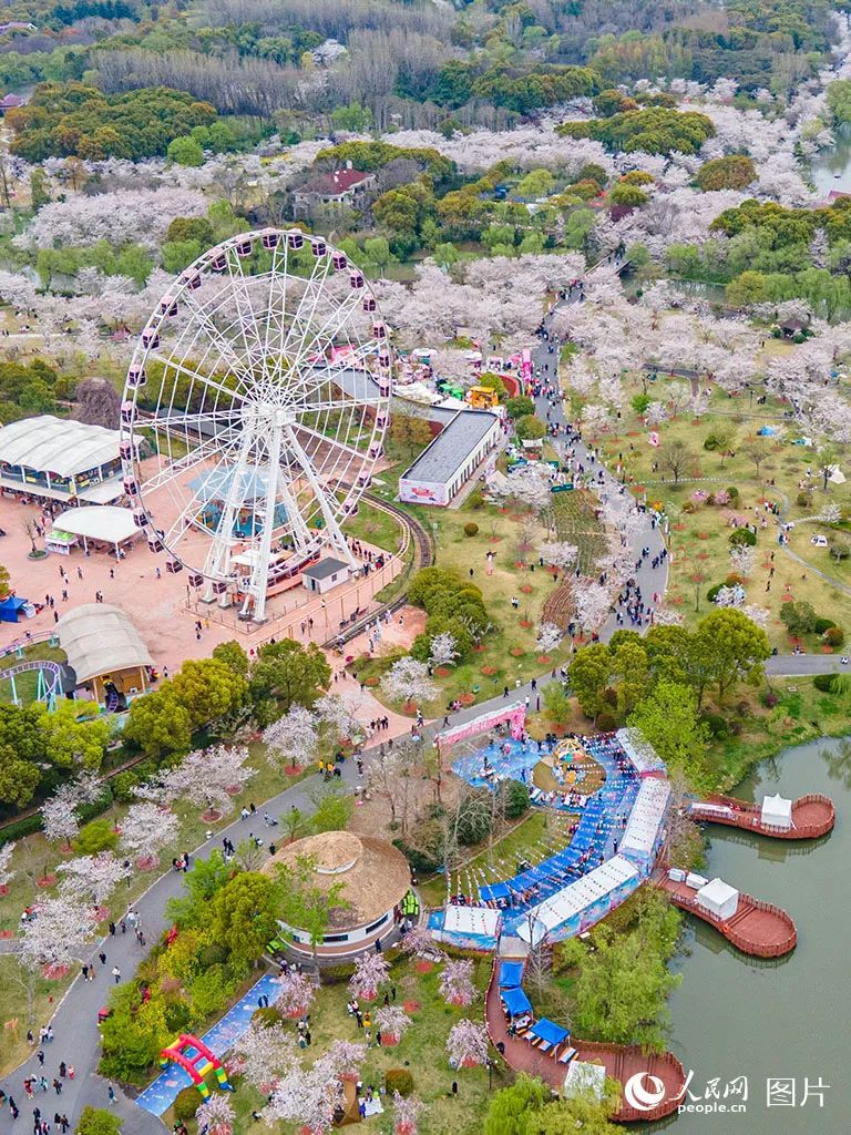 点开后，手机都香了！