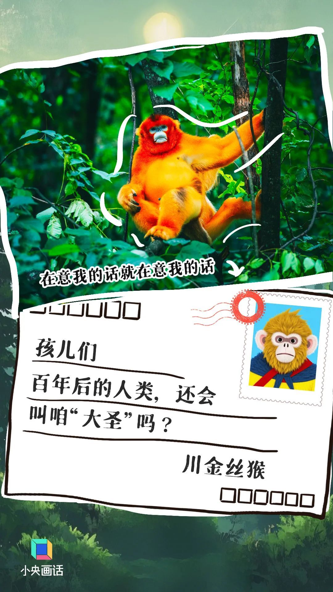 别让这些信成为它们的“绝笔”