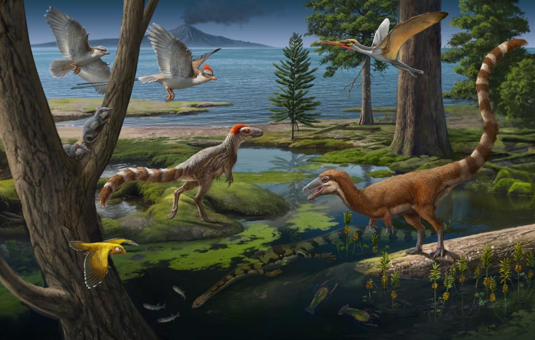 我国科学家命名两类新恐龙属种 我国科学家命名两类新恐龙属种