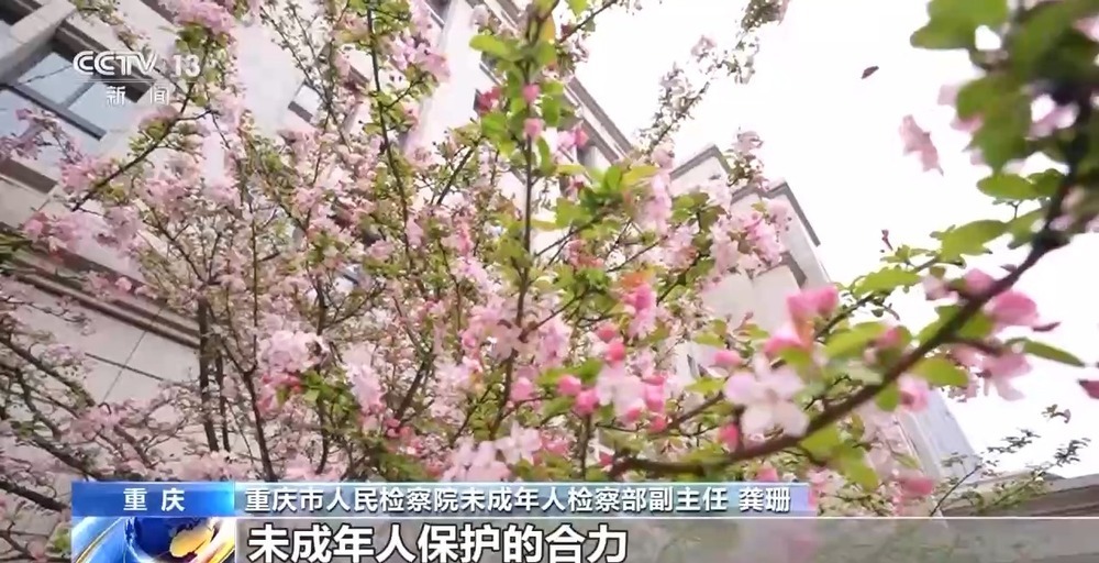 法治在线丨对于罪错未成年人 如何在刚性惩戒和柔性关怀间寻找平衡点？