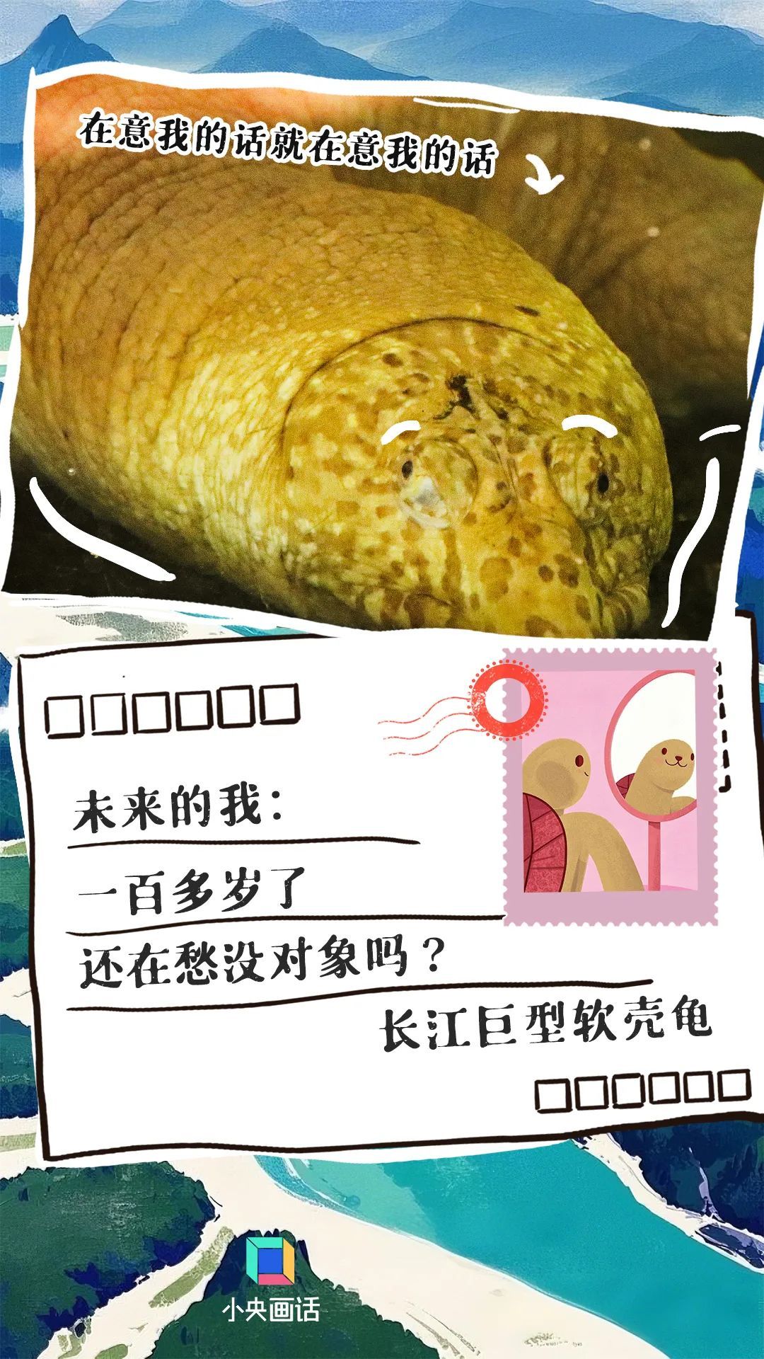 别让这些信成为它们的“绝笔”