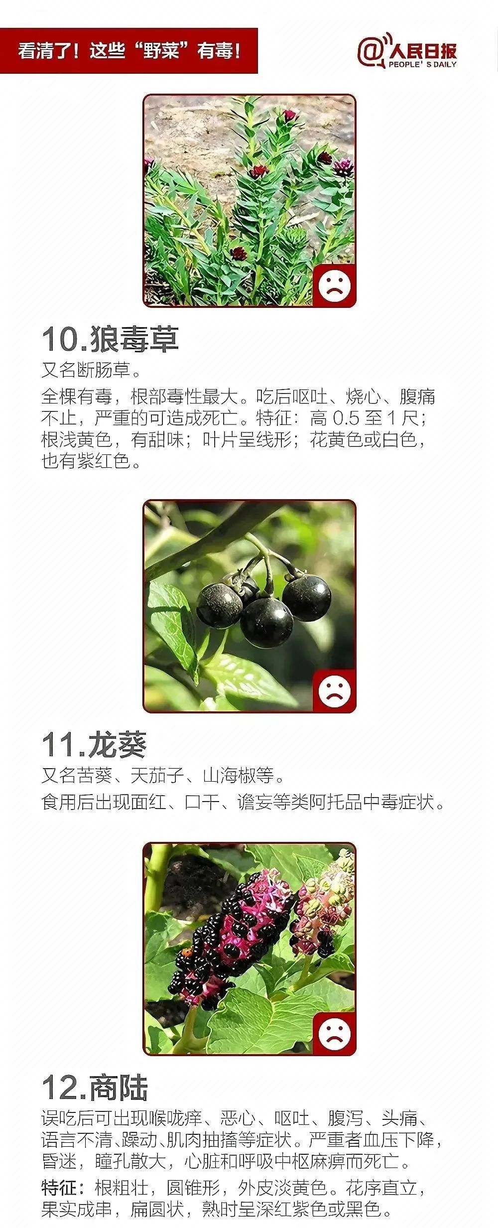有毒！别乱吃！