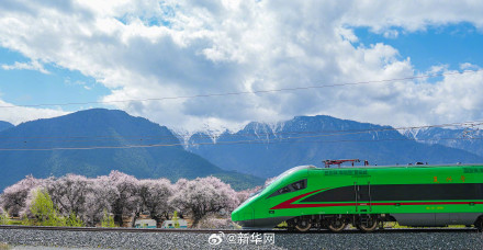 列车穿行花海画面唯美