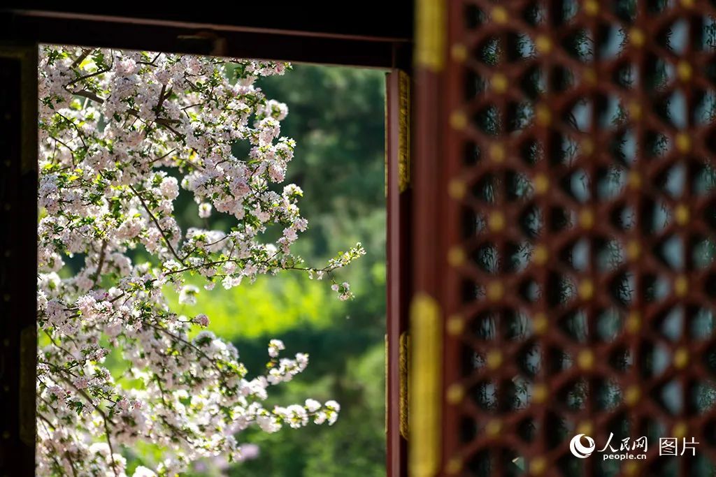 点开后，手机都香了！