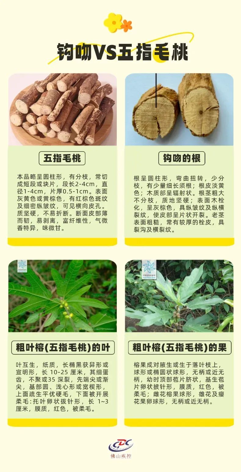 一家六口喝汤后齐齐中毒，2人进ICU抢救！ 紧急提醒→