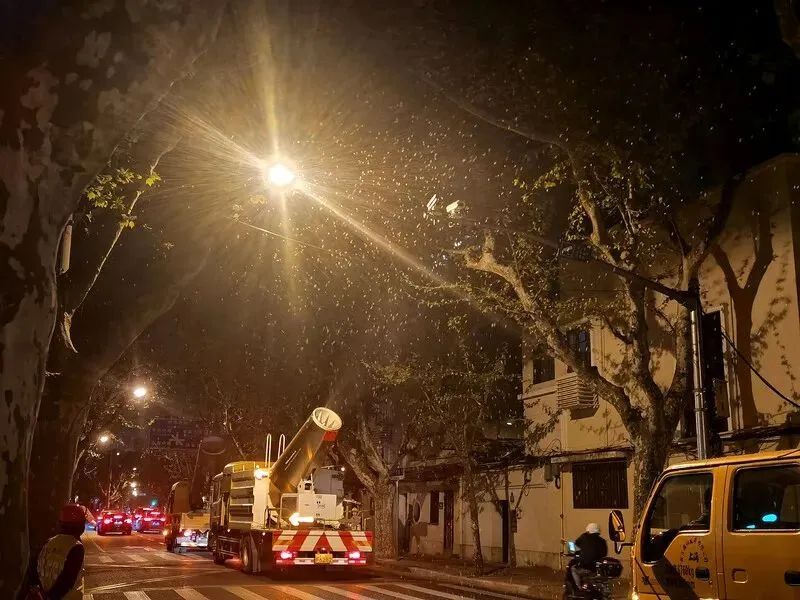上海花粉指数达顶峰!“你的春和景明,我的氯雷他定”,过敏季如何防护? 上海花粉指数达顶峰!“你的春和景明,我的氯雷他定”,过敏季如何防护?