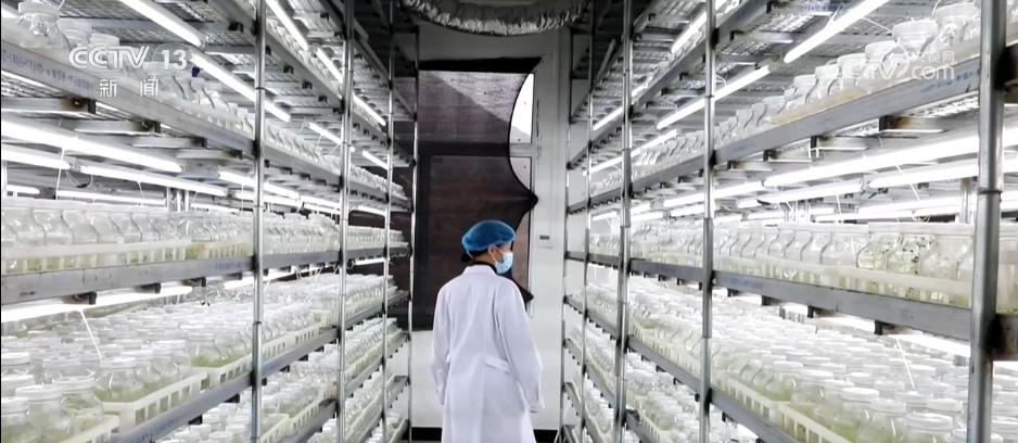 时间表、路线图已明确！农业强国建设蓝图有何亮点？专家解读