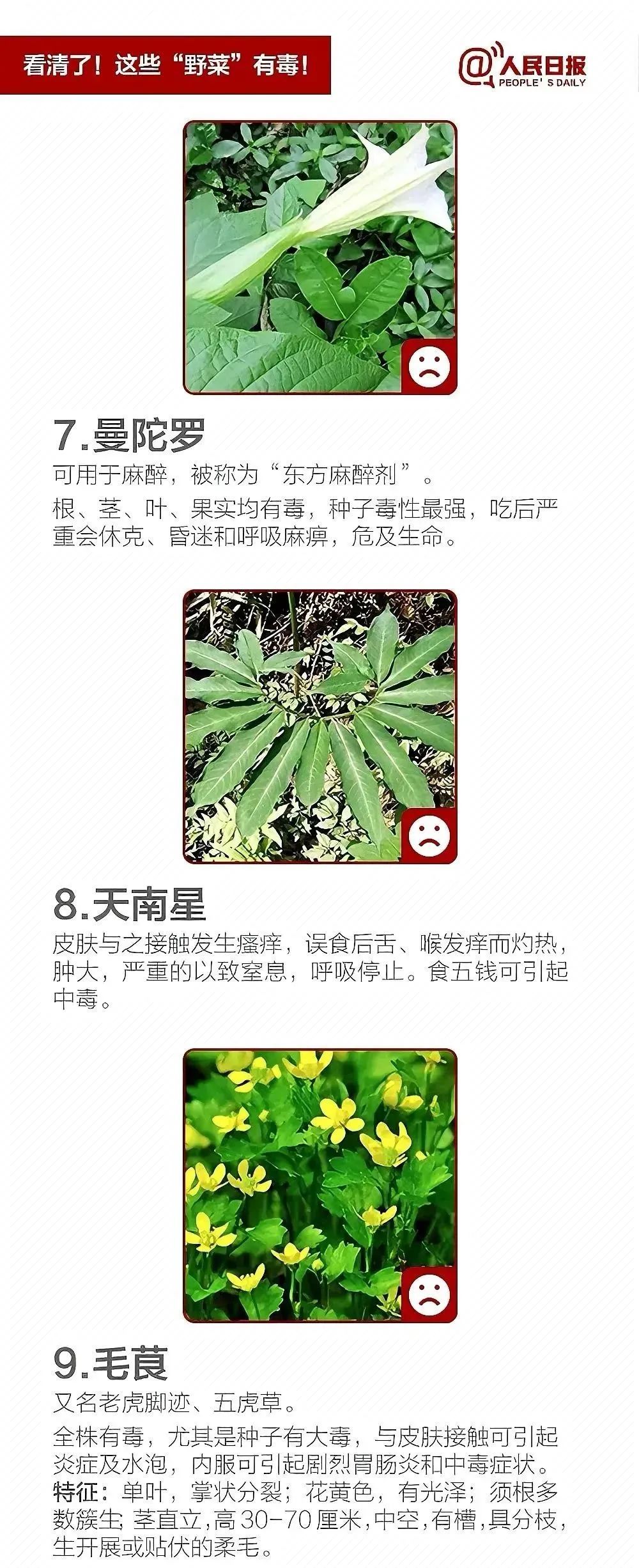 有毒！别乱吃！