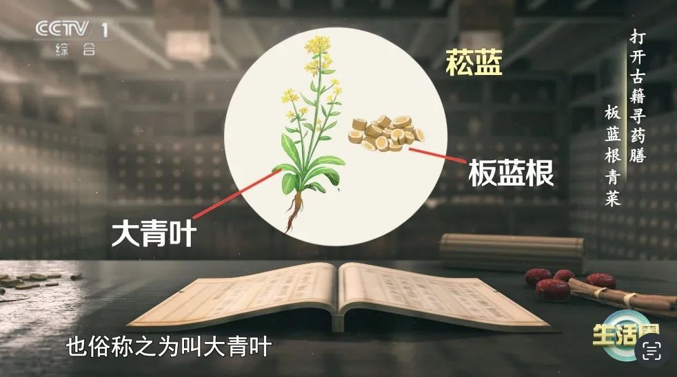 这种蔬菜钙含量比牛奶还高!春天推荐你多吃,补钙、抗病毒、降火~ 这种蔬菜钙含量比牛奶还高!春天推荐你多吃,补钙、抗病毒、降火~