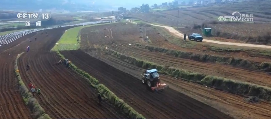 时间表、路线图已明确！农业强国建设蓝图有何亮点？专家解读