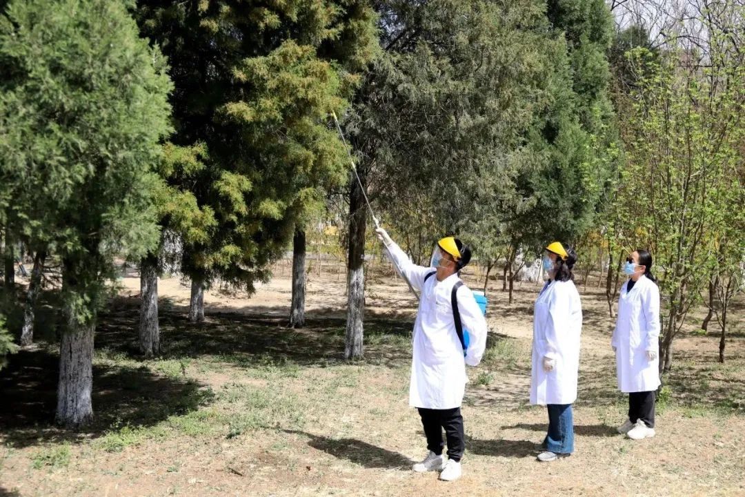 破解花粉过敏！北京农学院新技术明年落地城六区
