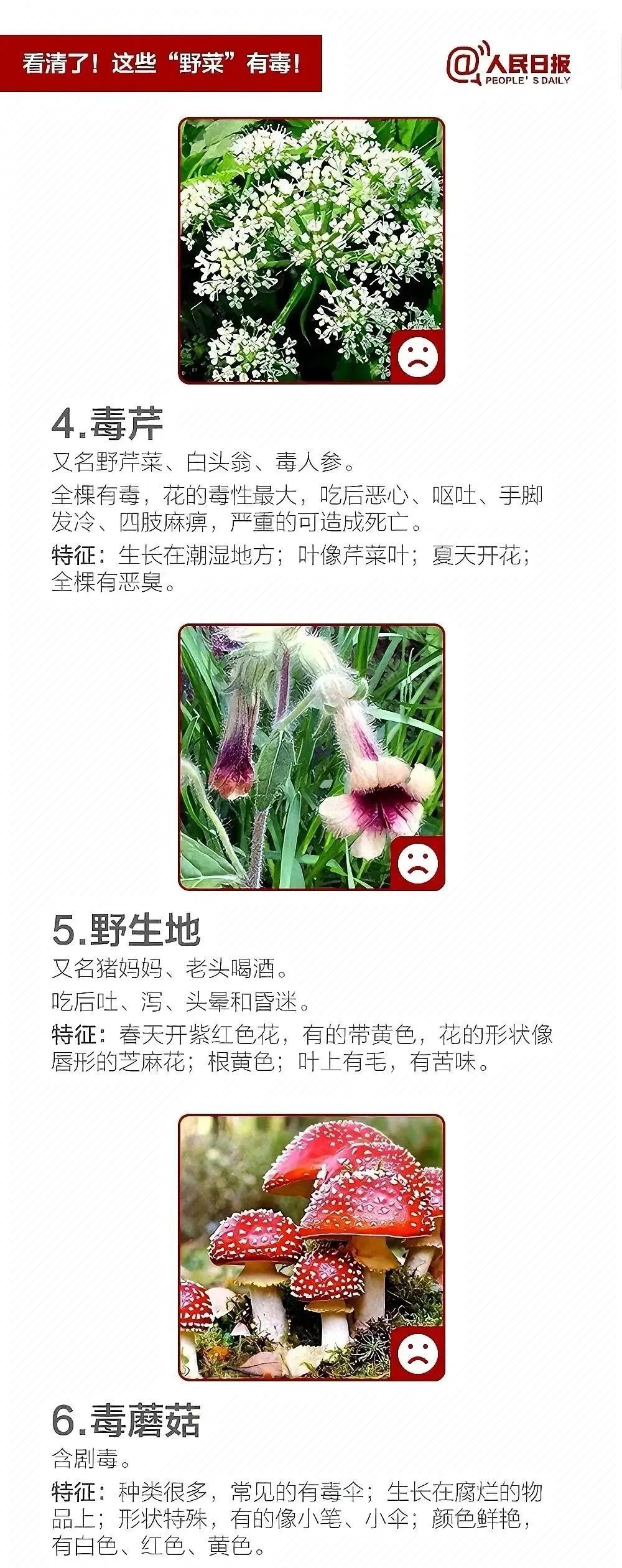 有毒！别乱吃！