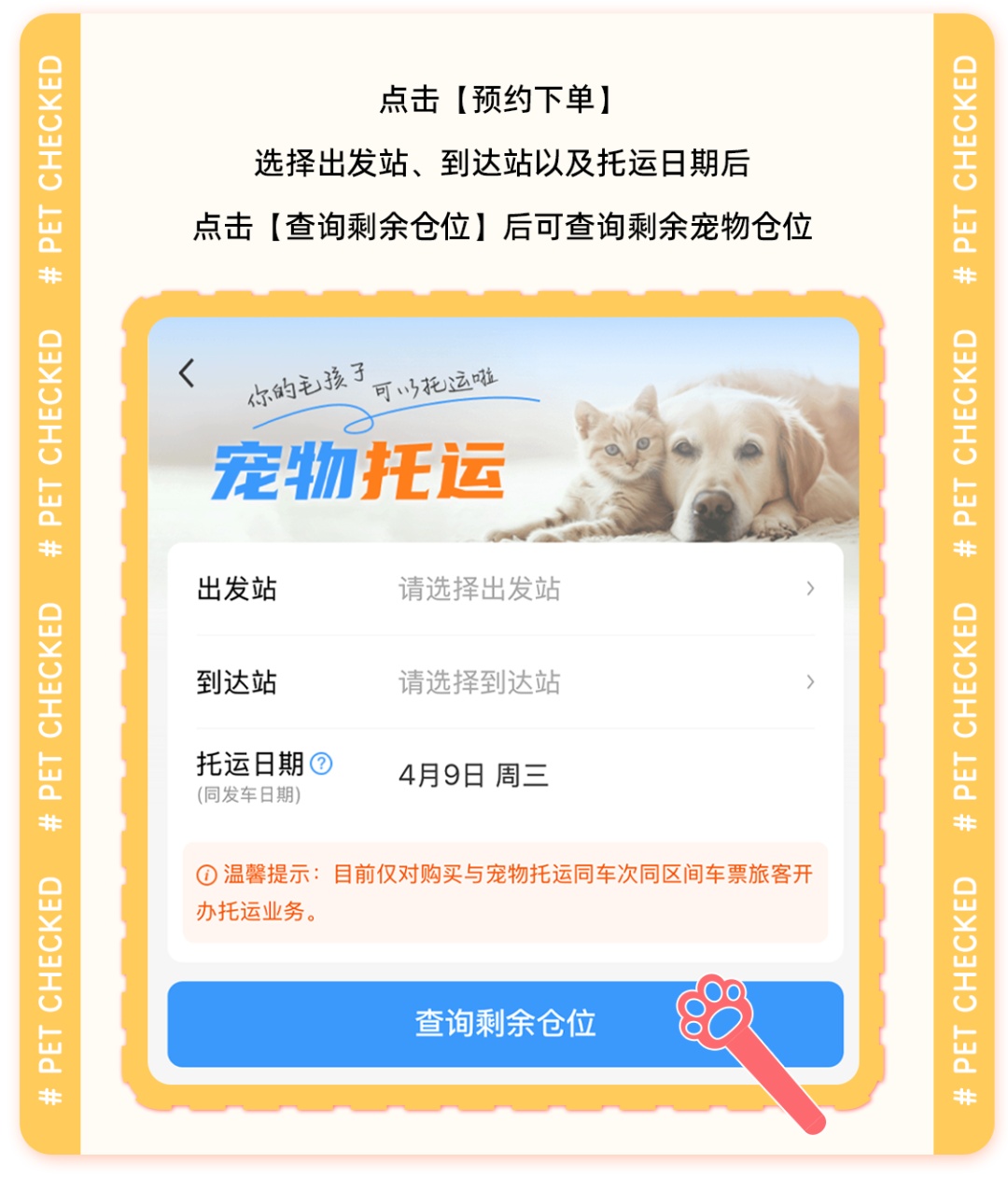 今天起，小猫小狗可以坐这些高铁啦！