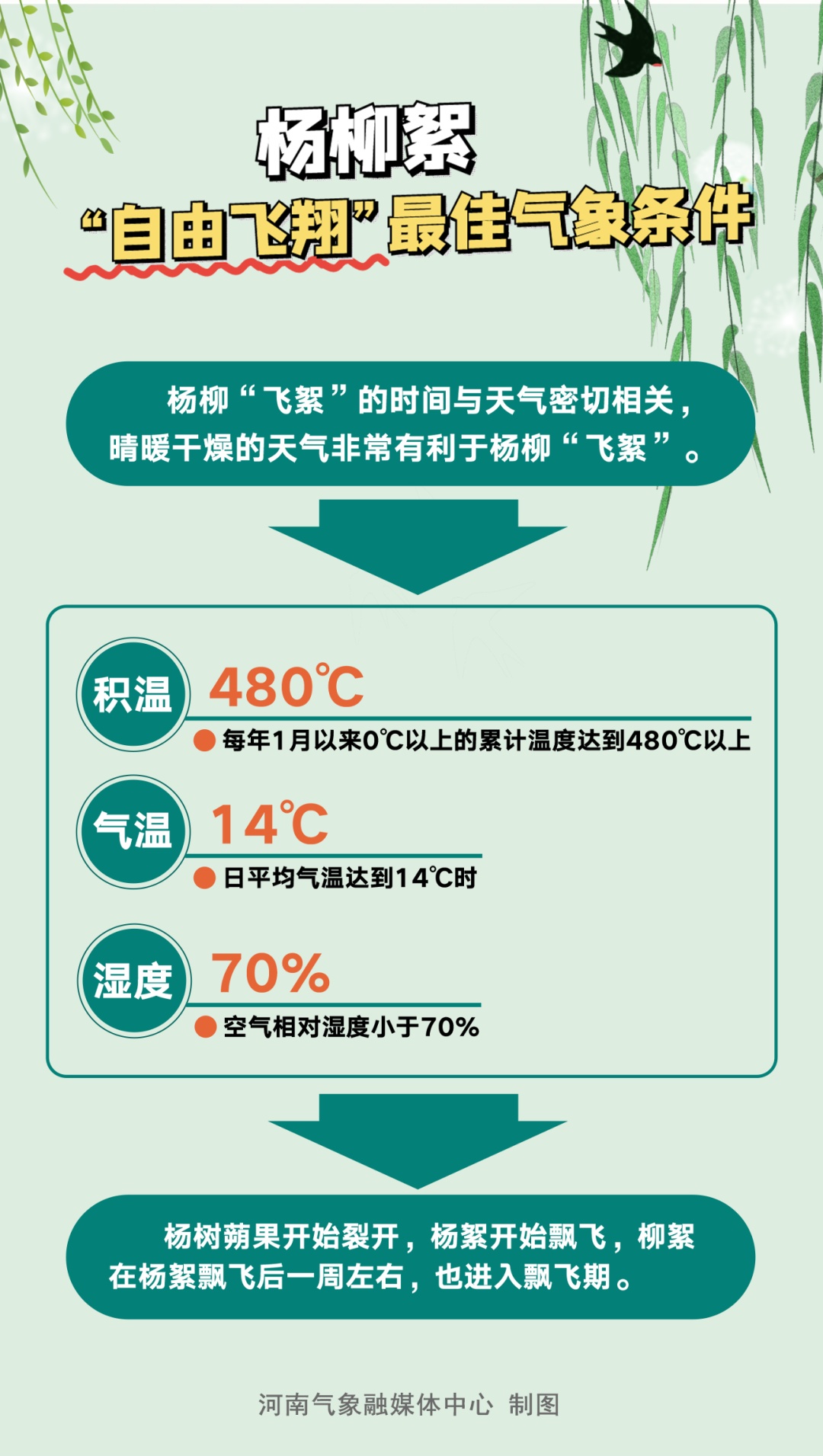 飞絮预警！2025河南杨柳絮预警地图发布→